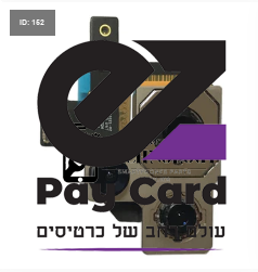 12 פרו מקס אחורי